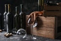 Empty glasses and bottles of wine on table Royalty Free Stock Photo