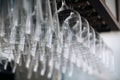 Empty glasses for wine above a bar rack. Hanging Royalty Free Stock Photo