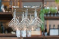 Empty glasses for wine above a bar rack in restaurant Royalty Free Stock Photo