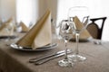 Empty goblets and other cutlery are served on the festive table Royalty Free Stock Photo