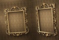 Empty golden frames on the wall. Royal