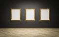 empty golden picture frames with blank canvas on black wall in art gallery exhibition 3d render illustration mock up Royalty Free Stock Photo