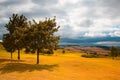 Empty golf course after rain Royalty Free Stock Photo