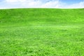Empty grass field with horizon and sky