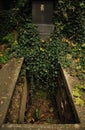 Empty grave on Olsany cemetery in Prague Royalty Free Stock Photo