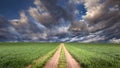 Empty gravel path and green fields at idyllic sunny day Royalty Free Stock Photo