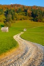 Empty gravel road leads across the empty pastures and towards a colorful forest. Royalty Free Stock Photo