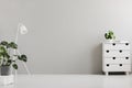 Empty gray bedroom interior with a modern dresser, an industrial floor lamp, a monstera plant and copy space place for a bed. Real Royalty Free Stock Photo