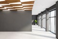 Empty gray office hall with mock up wall Royalty Free Stock Photo