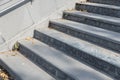 Empty gray steps stair at park Royalty Free Stock Photo