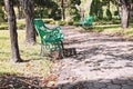 Empty green bench in the garden. Royalty Free Stock Photo