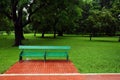 An empty green bench in a garden with full of greens. Royalty Free Stock Photo
