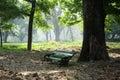 An empty green bench in a garden with full of greens. Royalty Free Stock Photo