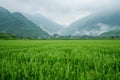 Empty green field Chinese village on background Royalty Free Stock Photo