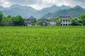 Empty green field Chinese village on background Royalty Free Stock Photo