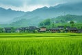 Empty green field Chinese village on background Royalty Free Stock Photo