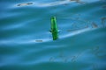 Empty green glass bottle in blue sea water Royalty Free Stock Photo