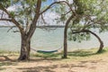 Lakeside hammock hanging between trees sunny day