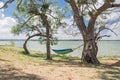 Lakeside hammock hanging between trees sunny day