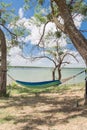 Lakeside hammock hanging between trees sunny day