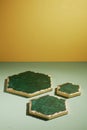 Empty Green marble pentagon trays on green table