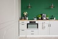 Empty green wall with copy space in elegant kitchen with white furniture,plants and coffee machine