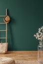 Empty green wall in elegant natural interior with wooden ladder and glass vase with flower Royalty Free Stock Photo