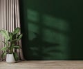 Empty green wall with sunlight in room with green plant in pol and curtain, 3d rendering