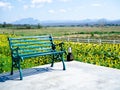 Empty green wrought iron bench on the concrete terrcae. Royalty Free Stock Photo