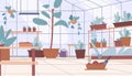 Empty greenhouse interior. Location with plants in pots, fresh greens and tiny tree in boxes. Gardening and planting