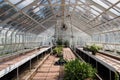 Empty Greenhouse