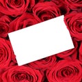 Empty greeting card with copyspace on red roses on birthday Vale