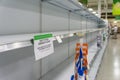 Empty grocery store shelves at Publix fully out of stock of all supplies including toilet paper, paper products, and bathroom