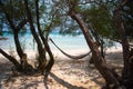 Empty hammock hang on trees on the beach at Koh Samed island. Royalty Free Stock Photo