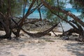 Empty hammock hang on trees on the beach at Koh Samed island. Royalty Free Stock Photo