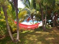 Empty hammock in the palm on a tropical beach Royalty Free Stock Photo