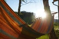 An empty hammock with red and blue stripes is hanging on the bearch tree Royalty Free Stock Photo