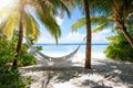Empty hammock on a tropical beach