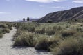 Empty hiking trail through the desert of the Coachella Valley Preserve Royalty Free Stock Photo