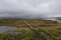 Empty hiking trail in Sweden Royalty Free Stock Photo