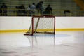 Empty hocky net Royalty Free Stock Photo