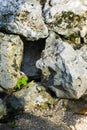 Empty hole between some big rocks animal hideout Royalty Free Stock Photo