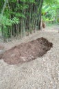 Empty hole after transfer bamboo stems out