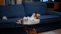 Empty home of depressed person with messy table with leftover on it