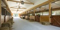 Empty horse stable interior