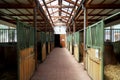 Horizontal picture of empty clear horse stable without horses Royalty Free Stock Photo