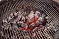 Empty Hot Charcoal Barbecue Grill With Flame. Royalty Free Stock Photo