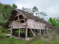 Empty house damaged and haunted in the middle of the forest