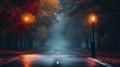 An empty illuminated country asphalt road through the trees and village in a fog on a rainy autumn day, street lanterns close-up, Royalty Free Stock Photo