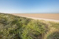 An almost empty immeasurable beach Royalty Free Stock Photo